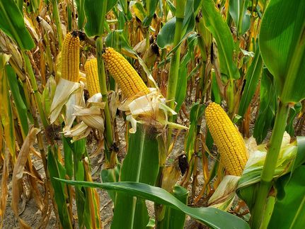 Property in Clark County, Ohio