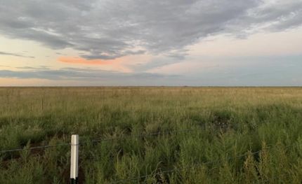 Property in Randall County, Texas