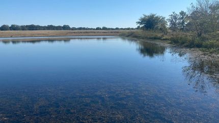 Property in Titus County, Texas