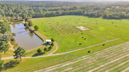 Property in Walker County, Texas