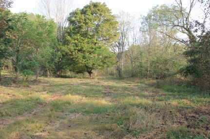Property in Bollinger County, Missouri