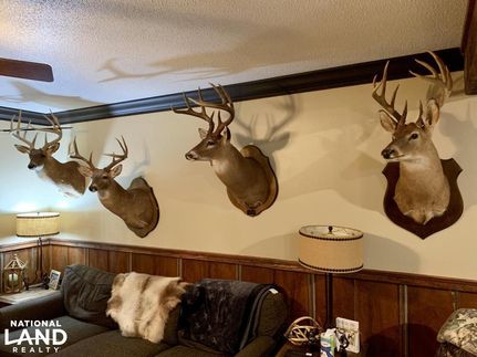 Property in Marengo County, Alabama