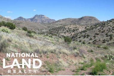 Property in Greenlee County, Arizona