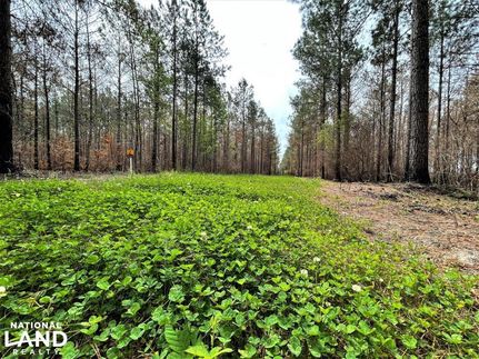 Property in Martin County, North Carolina