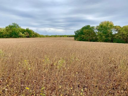 Property in Johnson County, Illinois