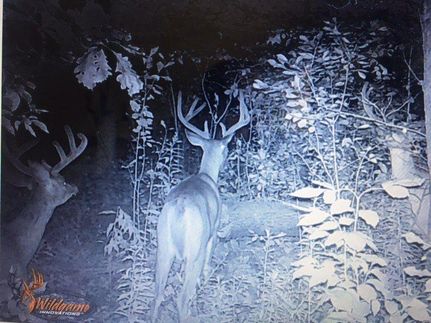 Property in Ozaukee County, Wisconsin