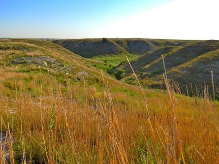 Property in Trego County, Kansas