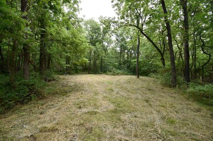 Property in Webster County, Missouri