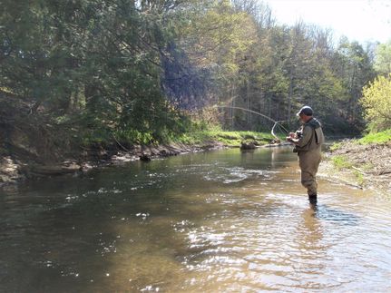 Property in Centre County, Pennsylvania