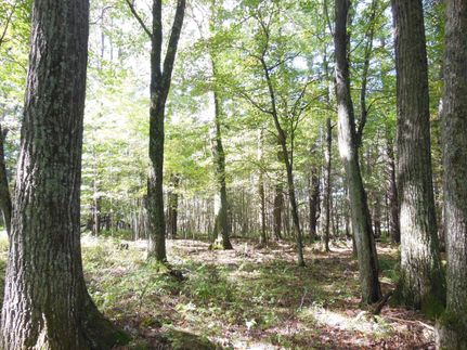 Property in Waupaca County, Wisconsin