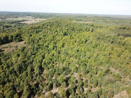 Property in Manistee County, Michigan