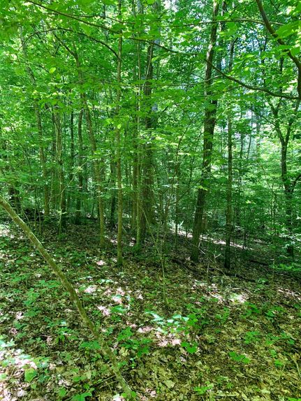 Property in Washington County, Tennessee