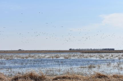 Property in Butler County, Nebraska
