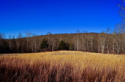 Property in Warren County, Tennessee