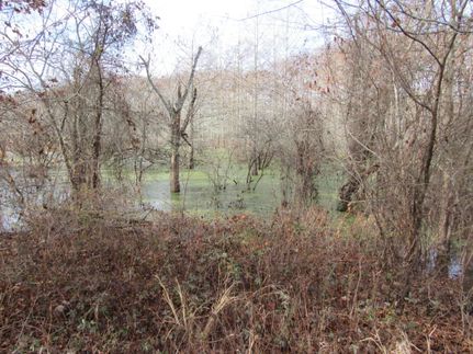 Property in Ashley County, Arkansas
