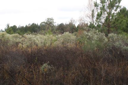 Property in Union Parish, Louisiana