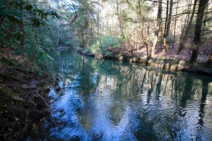 Property in Morgan County, Tennessee