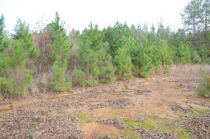 Property in Tangipahoa Parish, Louisiana