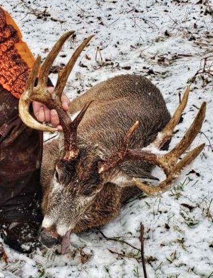 Property in Allamakee County, Iowa