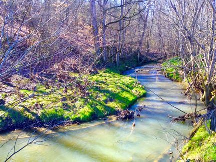 Property in Greene County, Tennessee