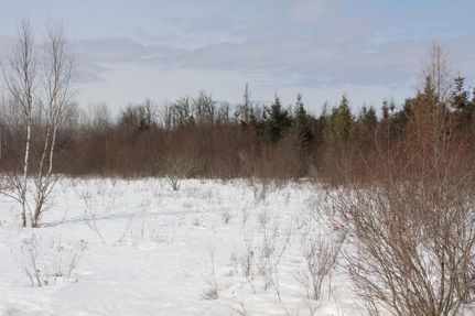 Property in Aitkin County, Minnesota