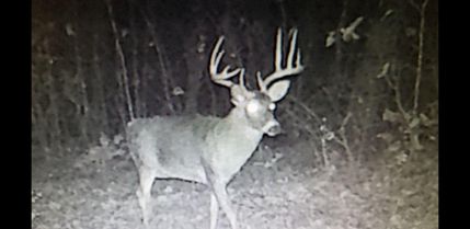 Property in Rockingham County, Virginia