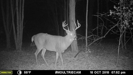 Property in Dunn County, Wisconsin