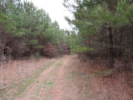Property in Cleveland County, Arkansas