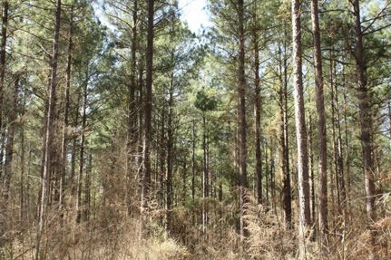 Property in Jefferson County, Arkansas