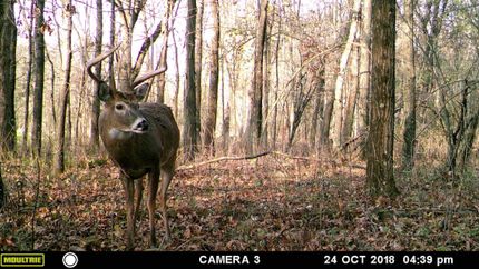 Property in Columbia County, Wisconsin