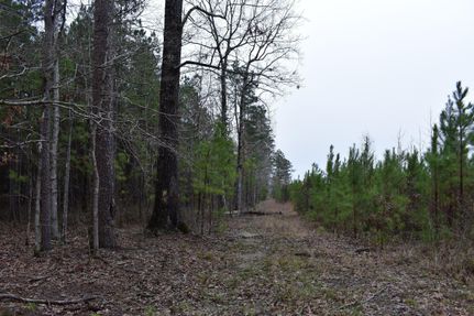 Property in Calhoun County, Arkansas