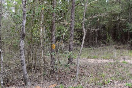 Property in Nevada County, Arkansas