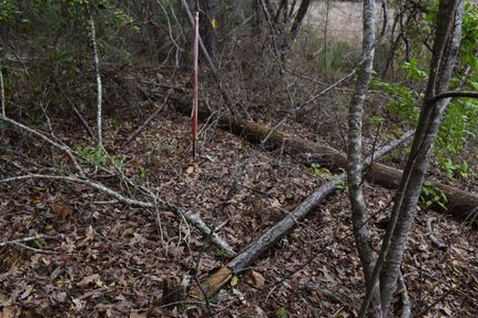 Property in Ouachita County, Arkansas