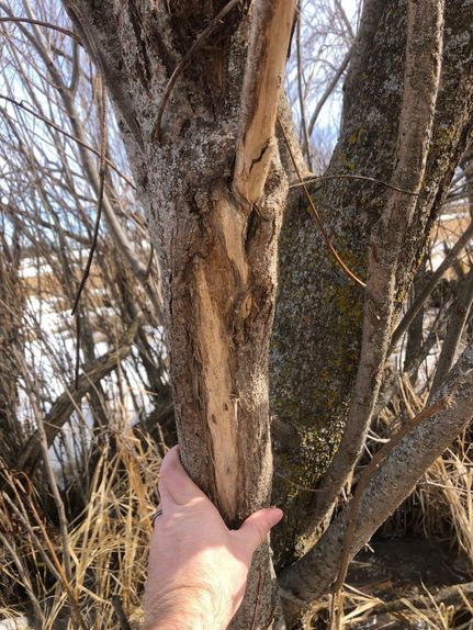 Property in Todd County, Minnesota