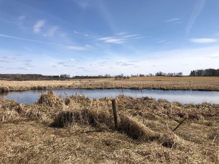 Property in Todd County, Minnesota