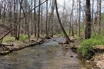 Property in Shenandoah County, Virginia
