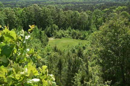 Property in Wilcox County, Alabama