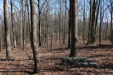 Property in Shenandoah County, Virginia