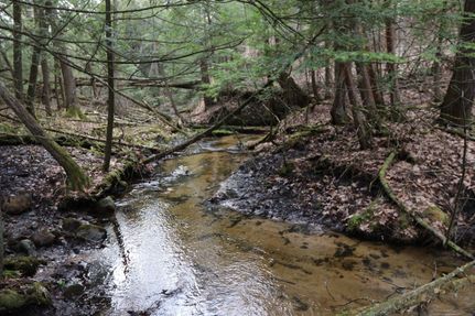 Property in Manistee County, Michigan