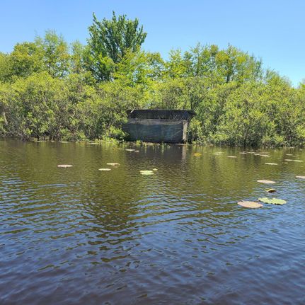 Property in Lincoln County, Arkansas