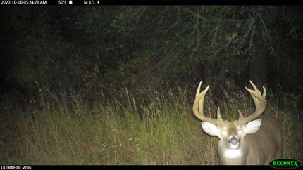 Property in Fayette County, Iowa
