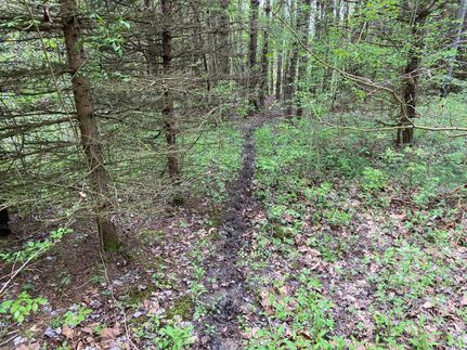 Property in Erie County, Pennsylvania