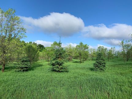 Property in Isanti County, Minnesota