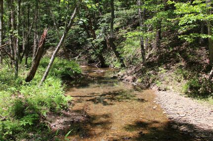 Property in Rockbridge County, Virginia