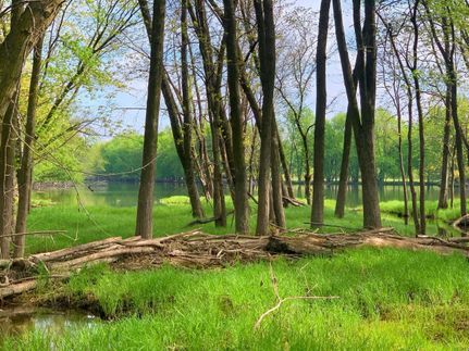 Property in Sibley County, Minnesota