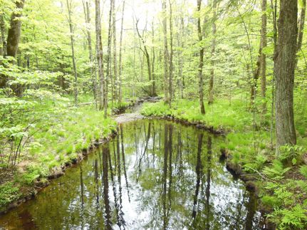 Property in Marathon County, Wisconsin