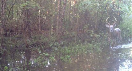 Property in Lenoir County, North Carolina