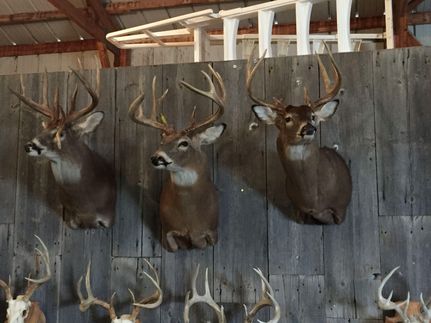 Property in Christian County, Illinois