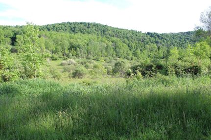 Property in Tioga County, Pennsylvania