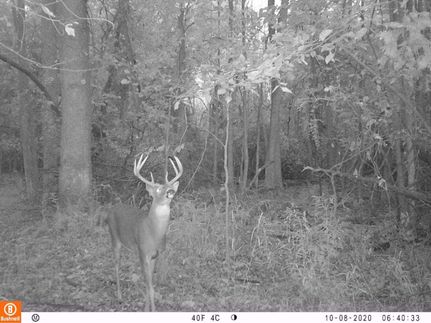 Property in Brown County, Wisconsin